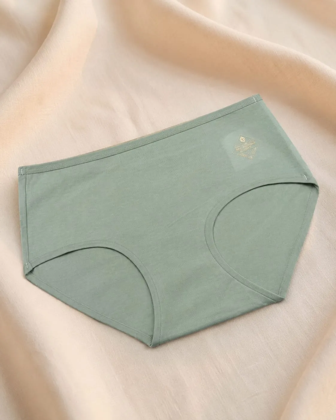 seamless-panty